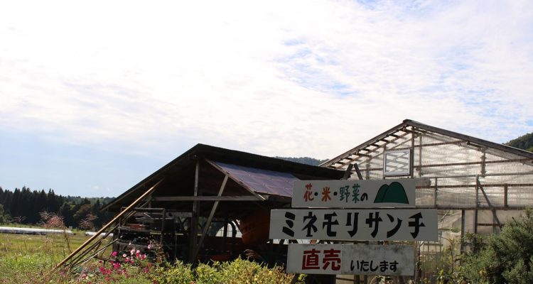 ミネモリサンチ